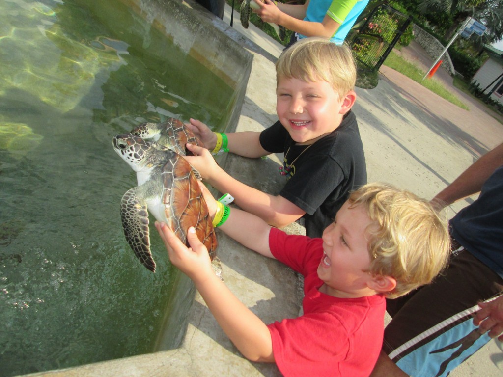 I'n not sure what's more adorable, the turtle or those two boys.