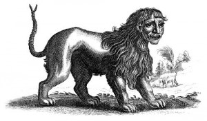 A brass engraving of a manticore by Joannes Jonstonus.